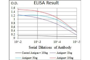 ELISA image for anti-Polo-Like Kinase 1 (PLK1) (AA 331-508) antibody (ABIN1844749)