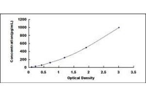 Typical standard curve (DEFB131 ELISA 试剂盒)
