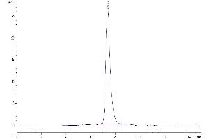 Size-exclusion chromatography-High Pressure Liquid Chromatography (SEC-HPLC) image for Killer Cell Immunoglobulin-Like Receptor, Two Domains, Long Cytoplasmic Tail, 2 (KIR2DL2) (AA 22-245) protein (His-Avi Tag) (ABIN7275086)