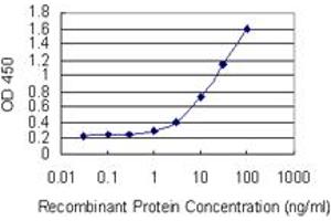 Detection limit for recombinant GST tagged RBP5 is 0. (Retinol Binding Protein 5 抗体  (AA 1-135))