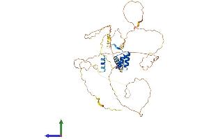 Protein Structure (PS) image for Homeobox even-skipped homolog protein 2 (EVX2) (AA 1-475) protein (His tag) (ABIN7563347)