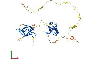 AlphaFold protein structure predicition of Mouse Recombinant Dok2 Protein, UniprotID O70469