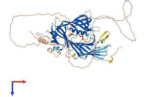 STON1 Protein (AA 1-730) (His tag)