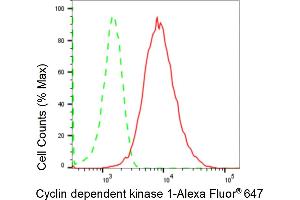 Flow cytometric analysis of Cyclin dependent kinase 1 expression in HepG2 cells using Cyclin dependent kinase 1 antibody (ABIN7798207), 1:2,000).