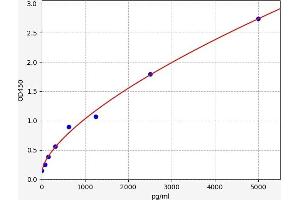 ABCC3 ELISA 试剂盒