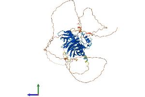 Protein Structure (PS) image for Grainyhead-Like 2 (GRHL2) (AA 1-625) protein (His tag) (ABIN7564681)