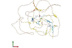 Protein Structure (PS) image for Cancer Susceptibility Candidate 3 (CASC3) (AA 1-698) protein (His tag) (ABIN7564660)