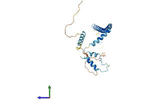 Protein Structure (PS) image for Clathrin, Light Chain B (CLTB) (AA 1-229) protein (His tag) (ABIN7557933)