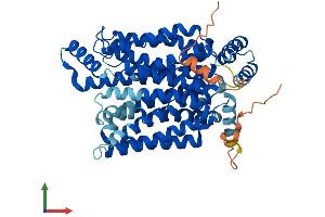 Protein Structure (PS) image for Solute Carrier Family 2 (Facilitated Glucose Transporter), Member 14 (SLC2A14) (AA 1-520) protein (His tag) (ABIN7548244)