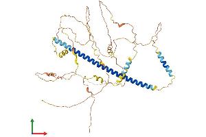 Protein Structure (PS) image for CAMP Responsive Element Binding Protein 3-Like 1 (CREB3L1) (AA 1-519) protein (His tag) (ABIN7553538)