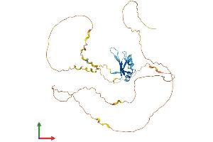 Protein Structure (PS) image for RNA Binding Motif Protein, X-Linked (RBMX) (AA 1-391) protein (His tag) (ABIN7555126)