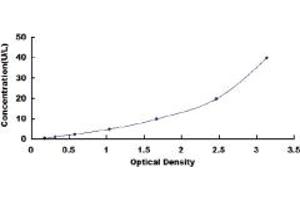 Typical standard curve (MPP2 ELISA 试剂盒)