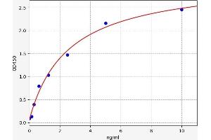 CD47 (CD47) ELISA Kit