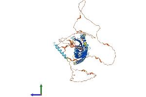 Protein Structure (PS) image for Junctophilin 2 (JPH2) (AA 1-696) protein (His tag) (ABIN7554278)