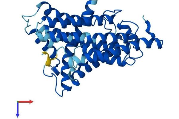 MT-ND1 Protein (AA 1-318) (His tag)