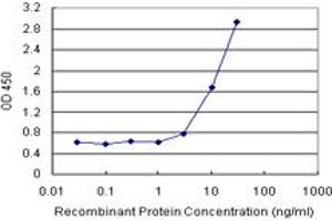 Sandwich ELISA detection sensitivity ranging from 1 ng/mL to 100 ng/mL. (MIF (人) Matched Antibody Pair)