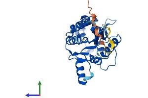AlphaFold protein structure predicition of Mouse Recombinant Phospho1 Protein, UniprotID Q8R2H9