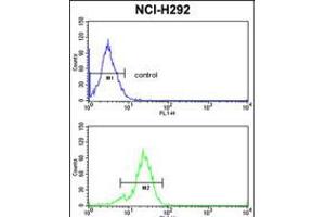 Flow cytometric analysis of NCI-H292 cells (bottom histogram) compared to a negative control cell (top histogram). (TDG 抗体  (N-Term))