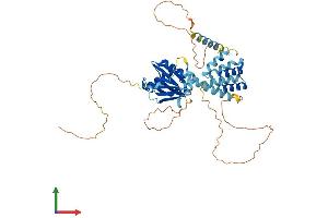 Protein Structure (PS) image for Cerebral Cavernous Malformation 2 (CCM2) (AA 1-453) protein (His tag) (ABIN7559524)