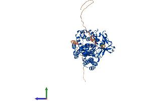 AlphaFold protein structure predicition of Mouse Recombinant Setd3 Protein, UniprotID Q91WC0