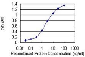 Detection limit for recombinant GST tagged MTSS1 is 0. (MTSS1 抗体  (AA 346-445))