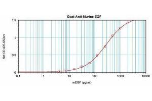 Image no. 1 for anti-Epidermal Growth Factor (EGF) antibody (ABIN465058) (EGF 抗体)