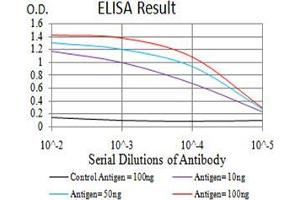 Black line: Control Antigen (100 ng);Purple line: Antigen (10ng); Blue line: Antigen (50 ng); Red line:Antigen (100 ng) (MITF 抗体  (AA 1-114))