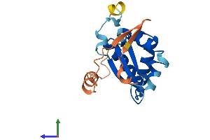 AlphaFold protein structure predicition of Mouse Recombinant Khdc1c Protein, UniprotID Q4KL78