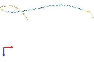 SPRR1A Protein (AA 1-144) (His tag)