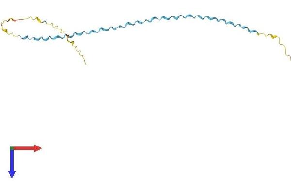 SPRR1A Protein (AA 1-144) (His tag)