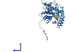 Protein Structure (PS) image for Ganglioside-Induced Differentiation-Associated Protein 1 (GDAP1) (AA 1-358) protein (His tag) (ABIN7547937)