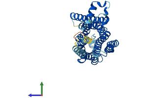 Protein Structure (PS) image for Trace Amine Associated Receptor 1 (TAAR1) (AA 1-332) protein (His tag) (ABIN7564860)