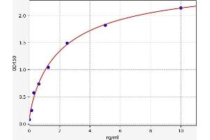 Typical standard curve (ANGPTL1 ELISA 试剂盒)