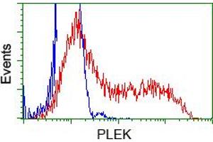 HEK293T cells transfected with either pCMV6-ENTRY PLEK (RC203780) (Red) or empty vector control plasmid (Blue) were immunostained with anti-PLEK mouse monoclonal (ABIN2453485), and then analyzed by flow cytometry. (Pleckstrin 抗体)