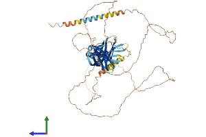 AlphaFold protein structure predicition of Mouse Recombinant Syt16 Protein, UniprotID Q7TN83 (SYT16 Protein (AA 1-639) (His tag))