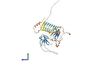 AlphaFold protein structure predicition of Human Recombinant DAZ4 Protein, UniprotID Q86SG3
