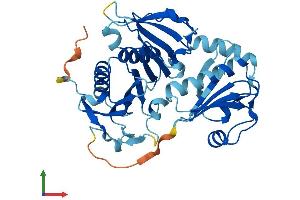 Protein Structure (PS) image for Capping Protein (Actin Filament), Gelsolin-Like (CAPG) (AA 1-348) protein (His tag) (ABIN7552963)