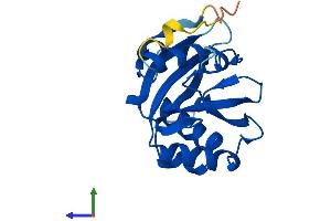 AlphaFold protein structure predicition of Human Recombinant NUDT16 Protein, UniprotID Q96DE0