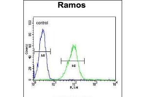 Flow cytometric analysis of Ramos cells (right histogram) compared to a negative control cell (left histogram). (HIP1 抗体  (N-Term))