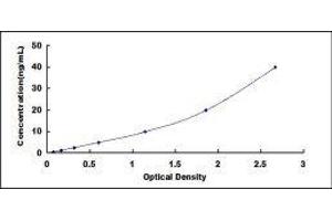 ELISA image for Transient Receptor Potential Cation Channel, Subfamily A, Member 1 (TRPA1) ELISA Kit (ABIN421435)
