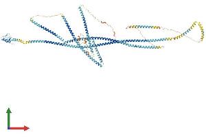 Protein Structure (PS) image for Ring Finger Protein 20 (RNF20) (AA 1-975) protein (His tag) (ABIN7552773)