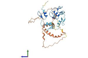 Protein Structure (PS) image for Odd-Skipped Related 2 (OSR2) (AA 1-312) protein (His tag) (ABIN7560143)