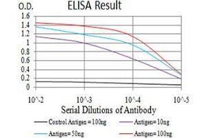 Black line: Control Antigen (100 ng);Purple line: Antigen (10ng); Blue line: Antigen (50 ng); Red line:Antigen (100 ng) (MUC5AC 抗体  (AA 5528-5627))