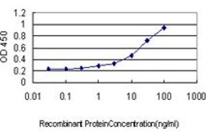 Detection limit for recombinant GST tagged MAZ is approximately 0. (MAZ 抗体  (AA 332-440))