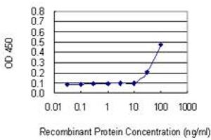 Detection limit for recombinant GST tagged C11orf17 is 3 ng/ml as a capture antibody. (AKIP1 抗体  (AA 111-210))