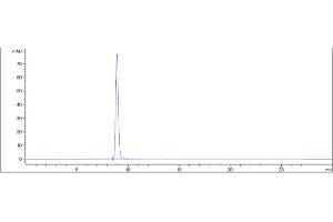 The purity of Anti-PMEL Reference Antibody (Genentech anti-PMEL17) is 99. (Recombinant Melanoma gp100 抗体)