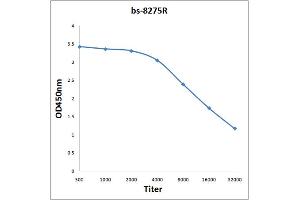Antigen: 0. (GPRIN1 抗体  (AA 101-200))