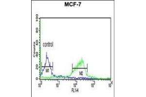 C Antibody (C-term) (ABIN653956 and ABIN2843176) flow cytometric analysis of MCF-7 cells (right histogram) compared to a negative control cell (left histogram). (C9ORF91 抗体  (C-Term))