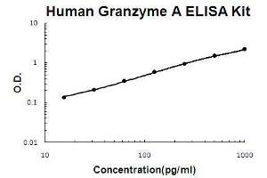 ELISA image for Granzyme A (Granzyme 1, Cytotoxic T-Lymphocyte-Associated serine Esterase 3) (GZMA) ELISA Kit (ABIN2859313)