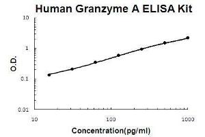 Human Granzyme A PicoKine ELISA Kit standard curve (GZMA ELISA 试剂盒)